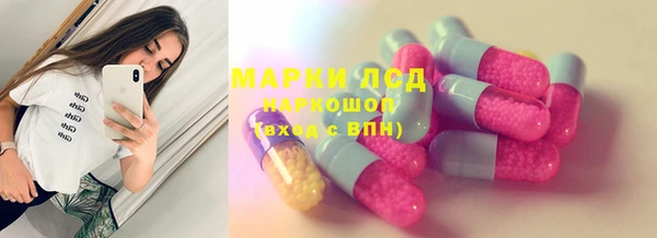 индика Балабаново
