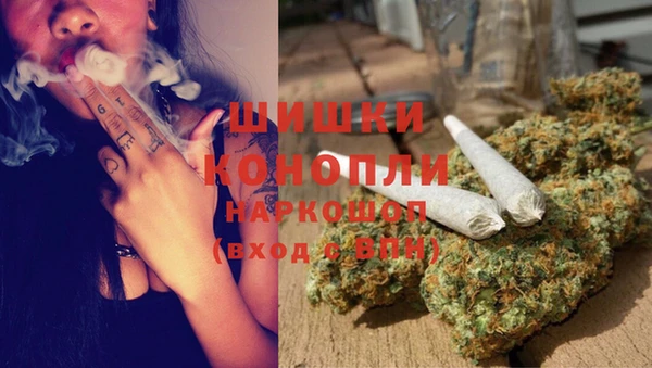 индика Балабаново