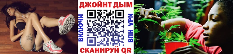 МАРИХУАНА сатива  Дигора 